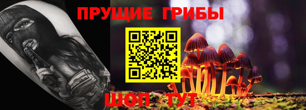 Галлюциногенные грибы Psilocybine cubensis Трёхгорный